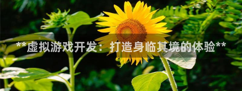 沐鸣娱乐平台2注册