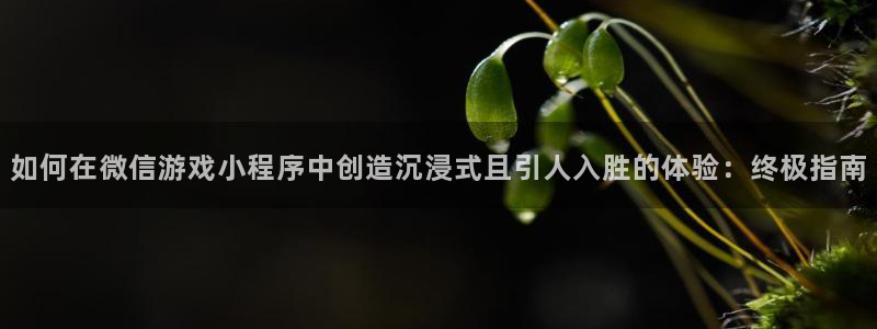 沐鸣2平台主管代理