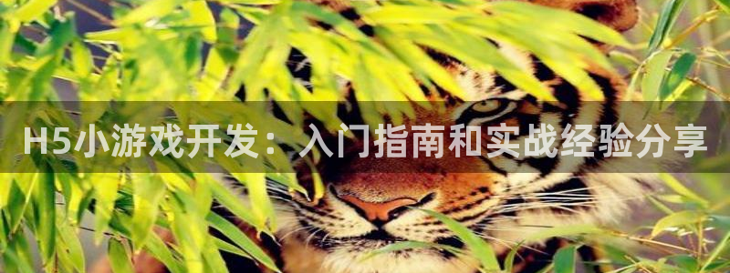 沐鸣娱乐2电脑版