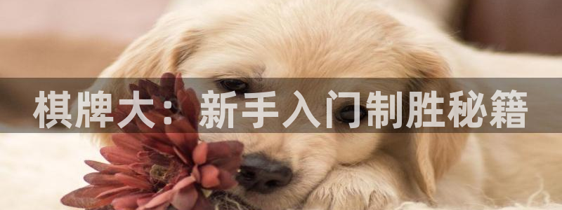 沐鸣2注册说来77542