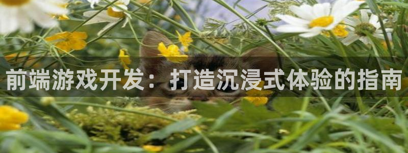 沐鸣2平台代理