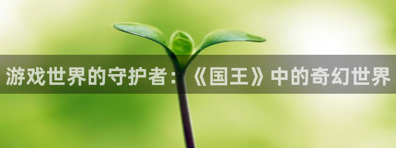 沐鸣娱乐2测速登陆：游戏世界的守护者：《国王》中的奇幻世界