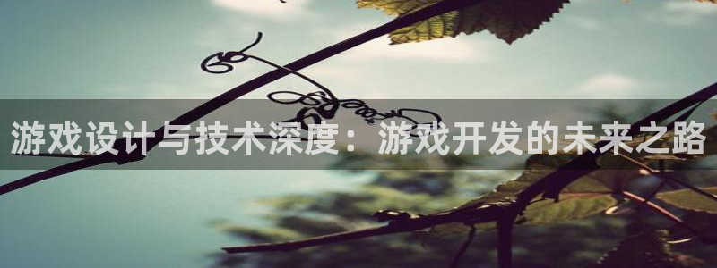 沐鸣娱乐2登录平台官网网址：游戏设计与技术深度：游戏开发的未来之路