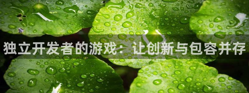 沐鸣2平台官网：独立开发者的游戏：让创新与包容并存