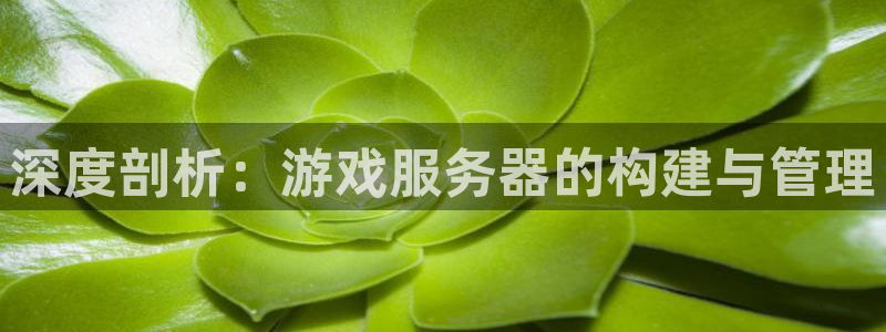 沐鸣娱乐2是干嘛的：深度剖析：游戏服务器的构建与管理