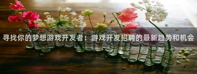 沐鸣2账号注册：寻找你的梦想游戏开发者：游戏开发招聘的最新趋势和机会
