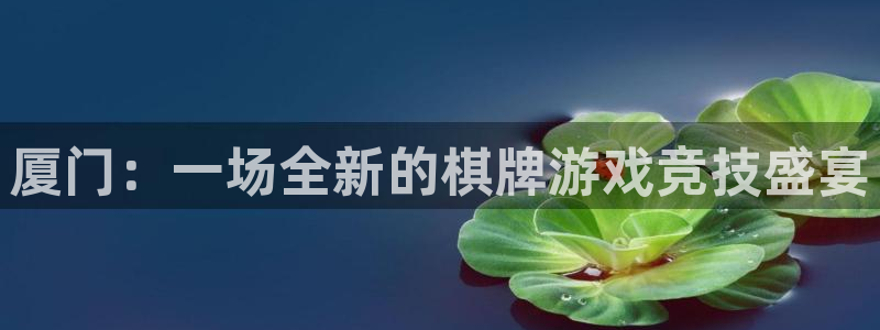 沐鸣娱乐2官网：厦门：一场全新的棋牌游戏竞技盛宴