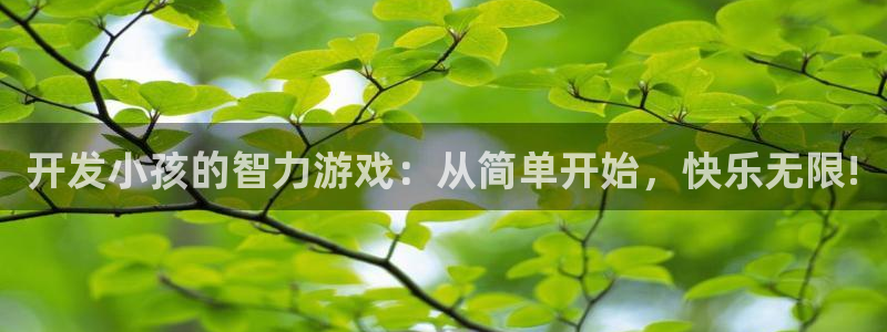 沐鸣娱乐2登录平台是什么软件：开发小孩的智力游戏：从简单开始，快乐无限!