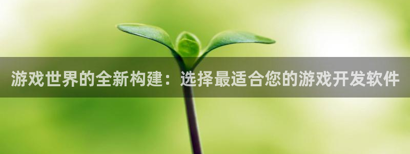 沐鸣娱乐2怎么样：游戏世界的全新构建：选择最适合您的游戏开发软件