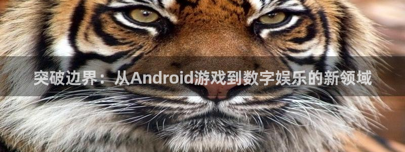 沐鸣2注册登入：突破边界：从Android游戏到数字娱乐的新领域