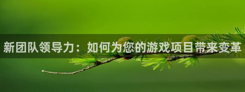 沐鸣娱乐2登录平台是什么软件：新团队领导力：如何为您的游戏项目带来变革