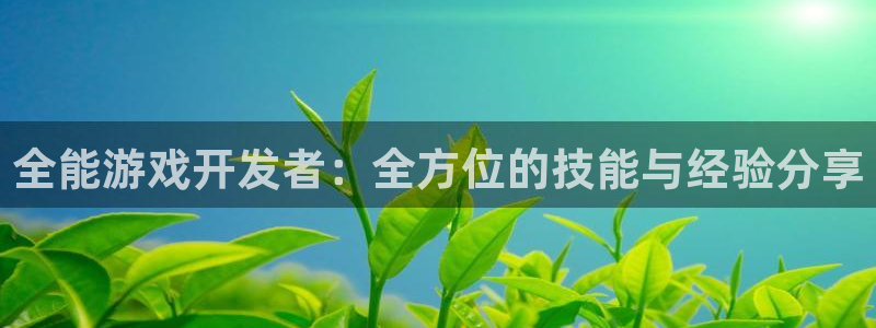 沐鸣2代理注册：全能游戏开发者：全方位的技能与经验分享