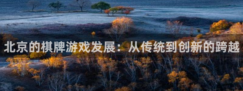 沐鸣2平台主管：北京的棋牌游戏发展：从传统到创新的跨越