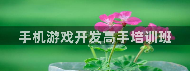 沐鸣娱乐2官方网站注册链接：手机游戏开发高手培训班