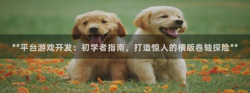 沐鸣2登录网址：**平台游戏开发：初学者指南，打造惊人的横版卷轴探险**