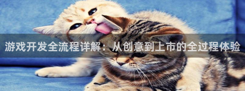 沐鸣2测速登录：游戏开发全流程详解：从创意到上市的全过程体验