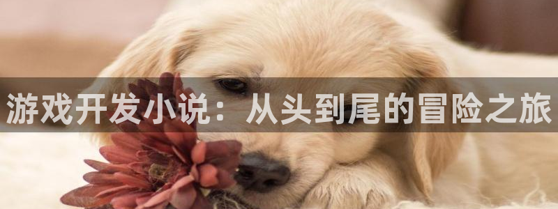 沐鸣娱乐2官网：游戏开发小说：从头到尾的冒险之旅